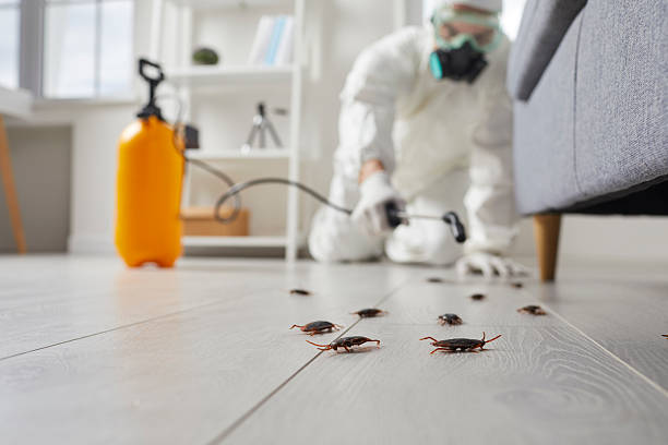 Post-Treatment Bed Bug Interceptor Monitoring in Frederickson