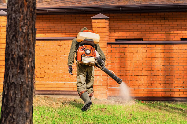 Bed Bug Clearance Verification and Documentation in Frederickson